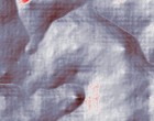aljasira alrai